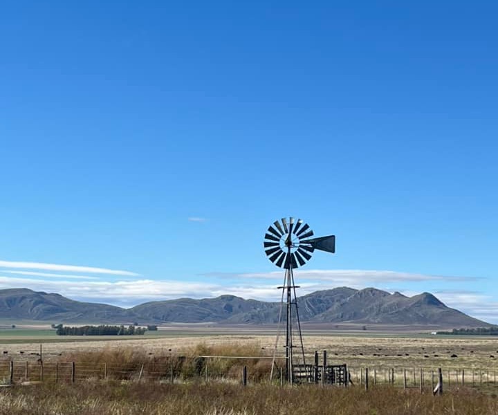 PIE DE SIERRA